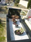 image of grave number 278301